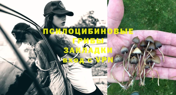 прущие крисы Алзамай