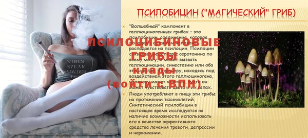 mdpv Алексин