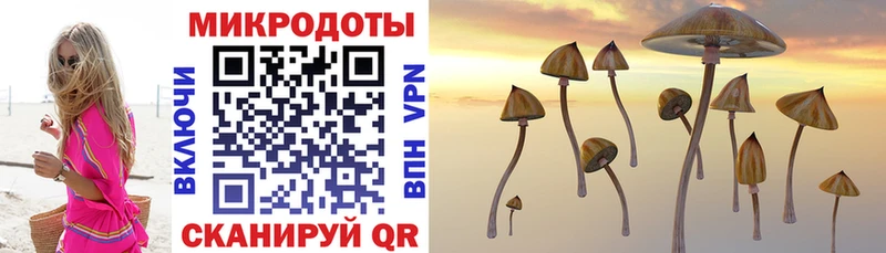 Галлюциногенные грибы MAGIC MUSHROOMS Луза